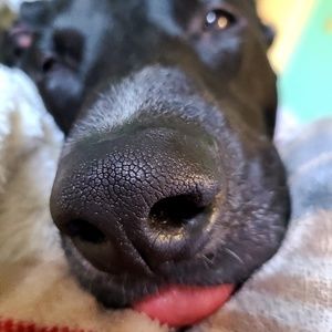 Meet your Posher, Kristi